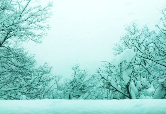 スクリーンショット 2018-08-26 20.00.55