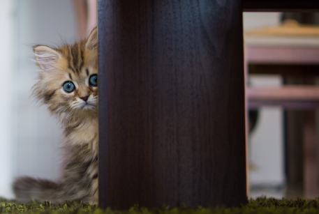 スクリーンショット 2019-04-27 17.23.54