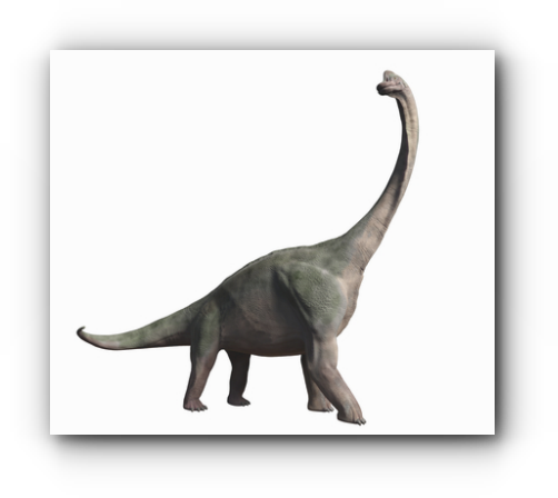 スクリーンショット 2019-06-11 3.10.48_s