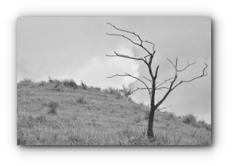 スクリーンショット 2019-07-22 19.33.21_s