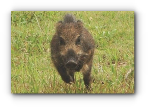 スクリーンショット 2019-07-02 15.25.59_s