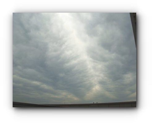 スクリーンショット 2019-08-04 15.54.45_s