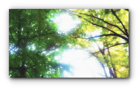 スクリーンショット 2019-11-03 8.21.52_s